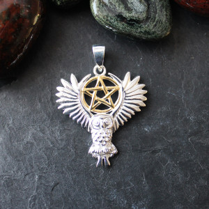 Lisa Parker Owl Pendant In Sterling Silver with gold plating