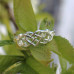 Celtic Heart Ring In Sterling Silver