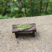 Leaf Table for a Fairy Garden
