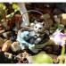 Cat In Basket Figure for a Fairy Garden