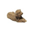 Miniature Dog For Fairy Gardens