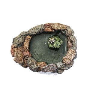 Fairy Garden Pond