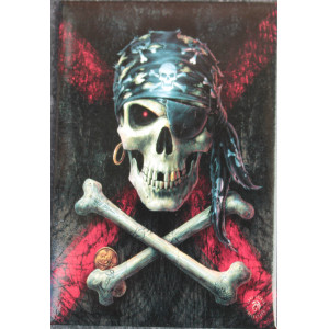 Pirate Skull Fridge Magnet By Anne Stokes