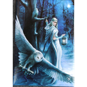 Midnight Messenger Fridge Magnet By Anne Stokes