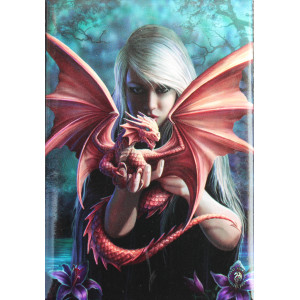 Dragon Kin Fridge Magnet By Anne Stokes