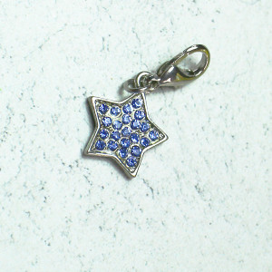 Blue Jewelled Star Pet Collar Charm